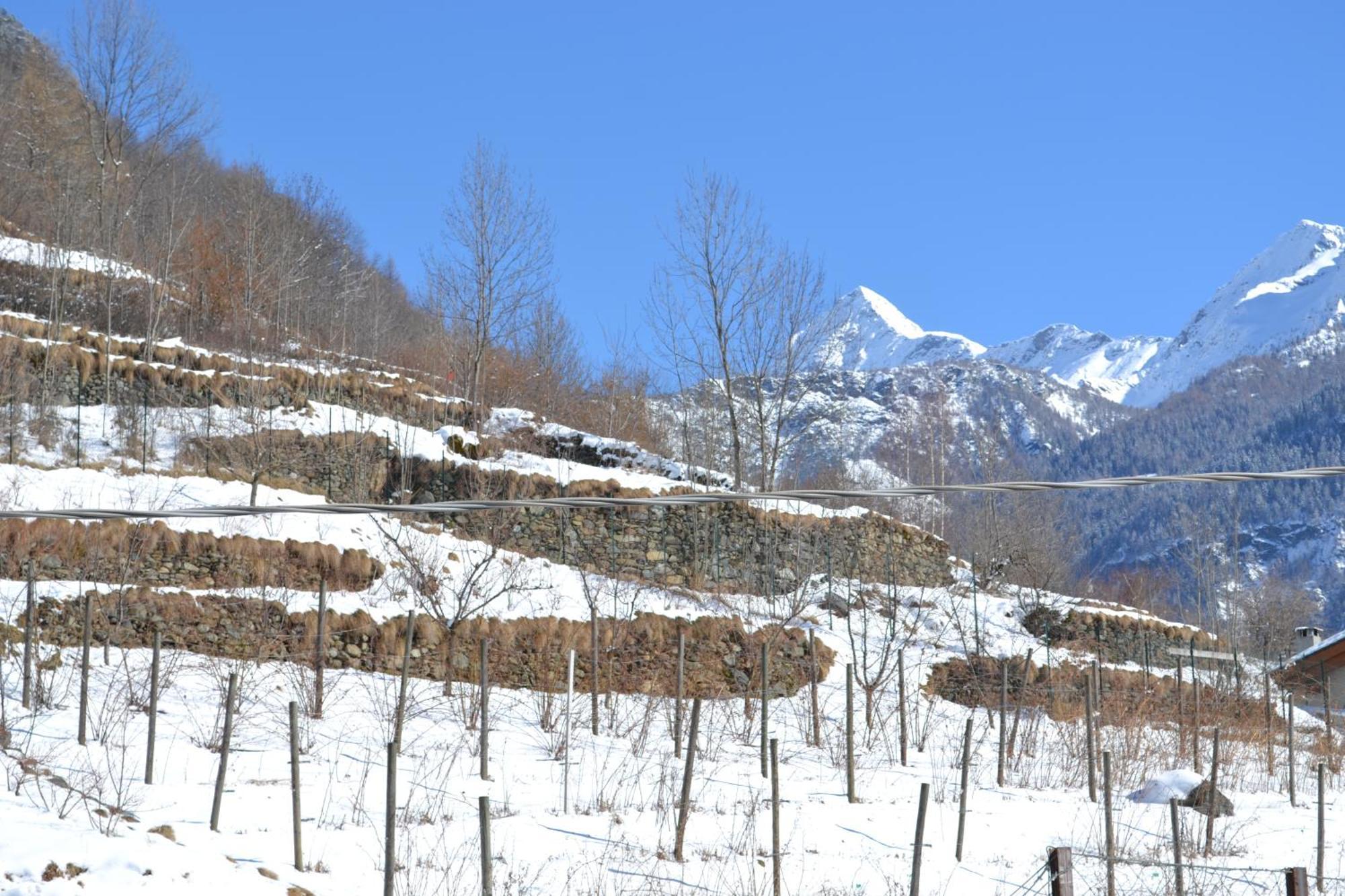 Casa Vacanza La Rocca Chiesa in Valmalenco Kültér fotó